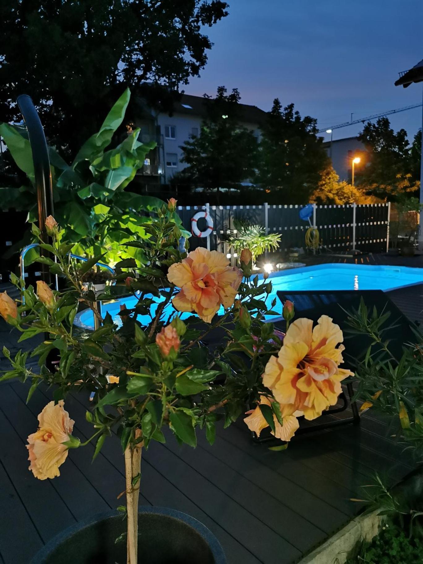 Apartmenthaus Wertheim Extérieur photo